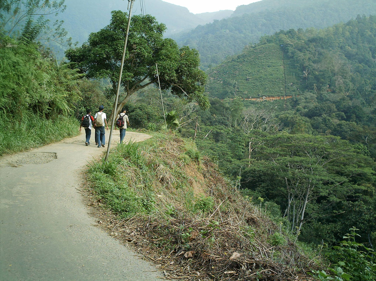 people boys walk free photo