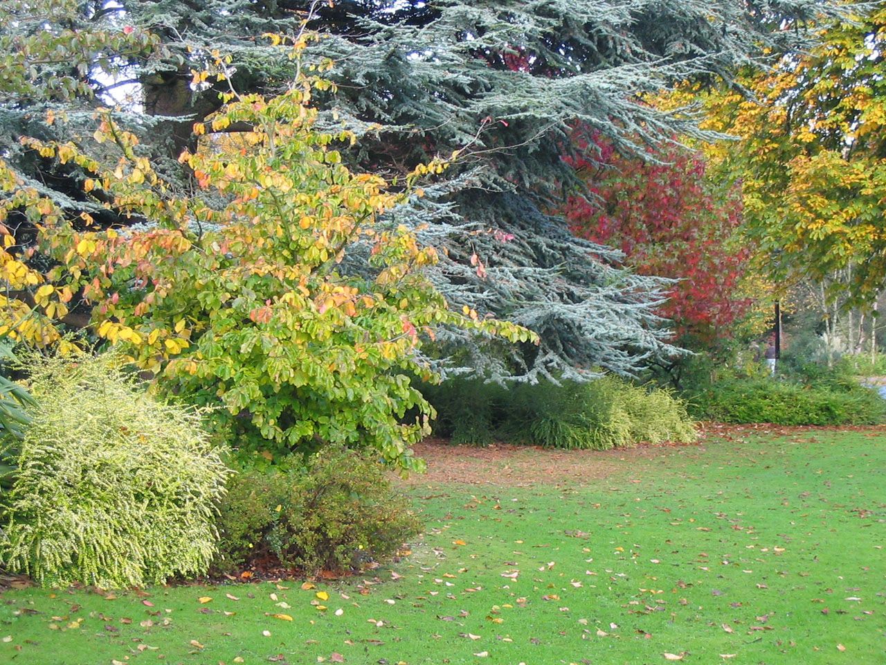 park autumn fall free photo