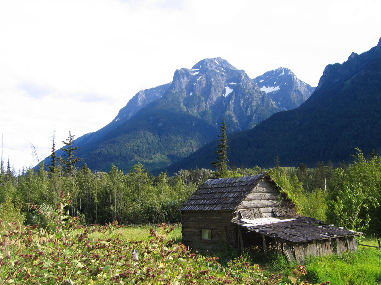 cabin abandoned cabin wilderness free photo