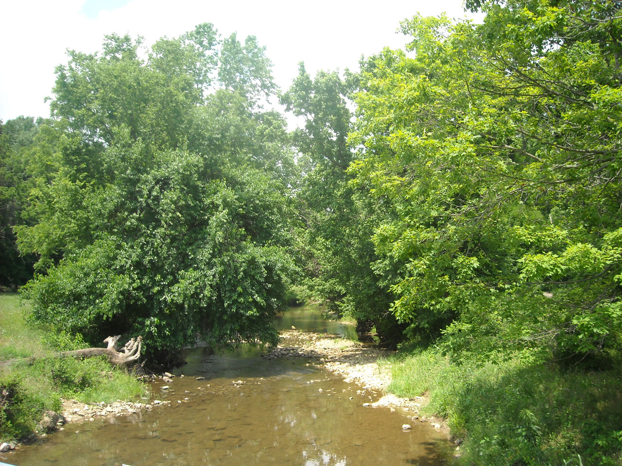 water river nature free photo