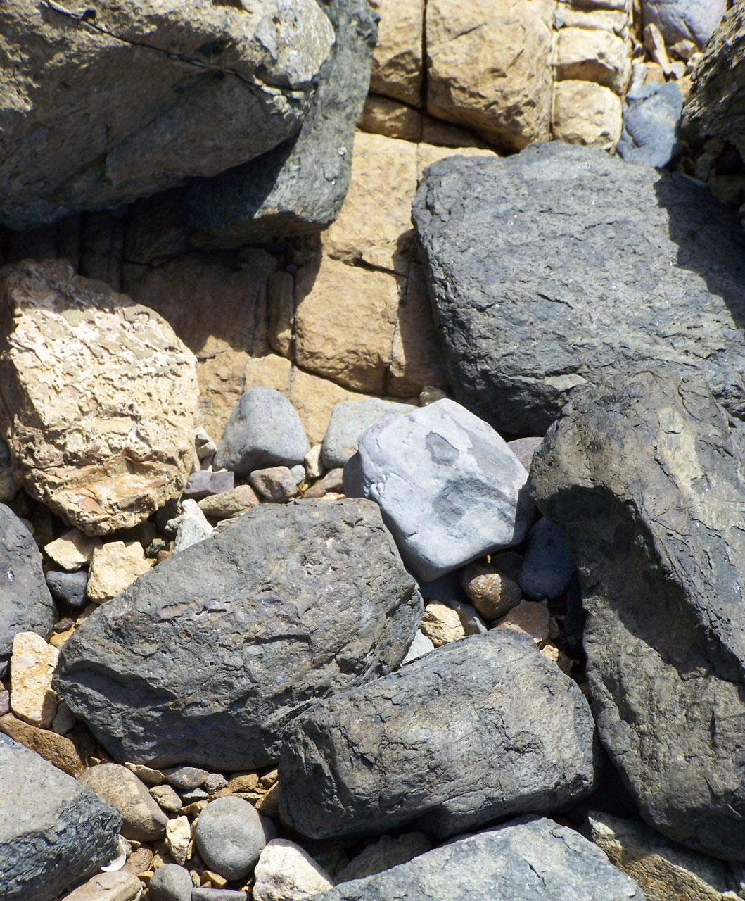 beach rocks beach rocks free photo