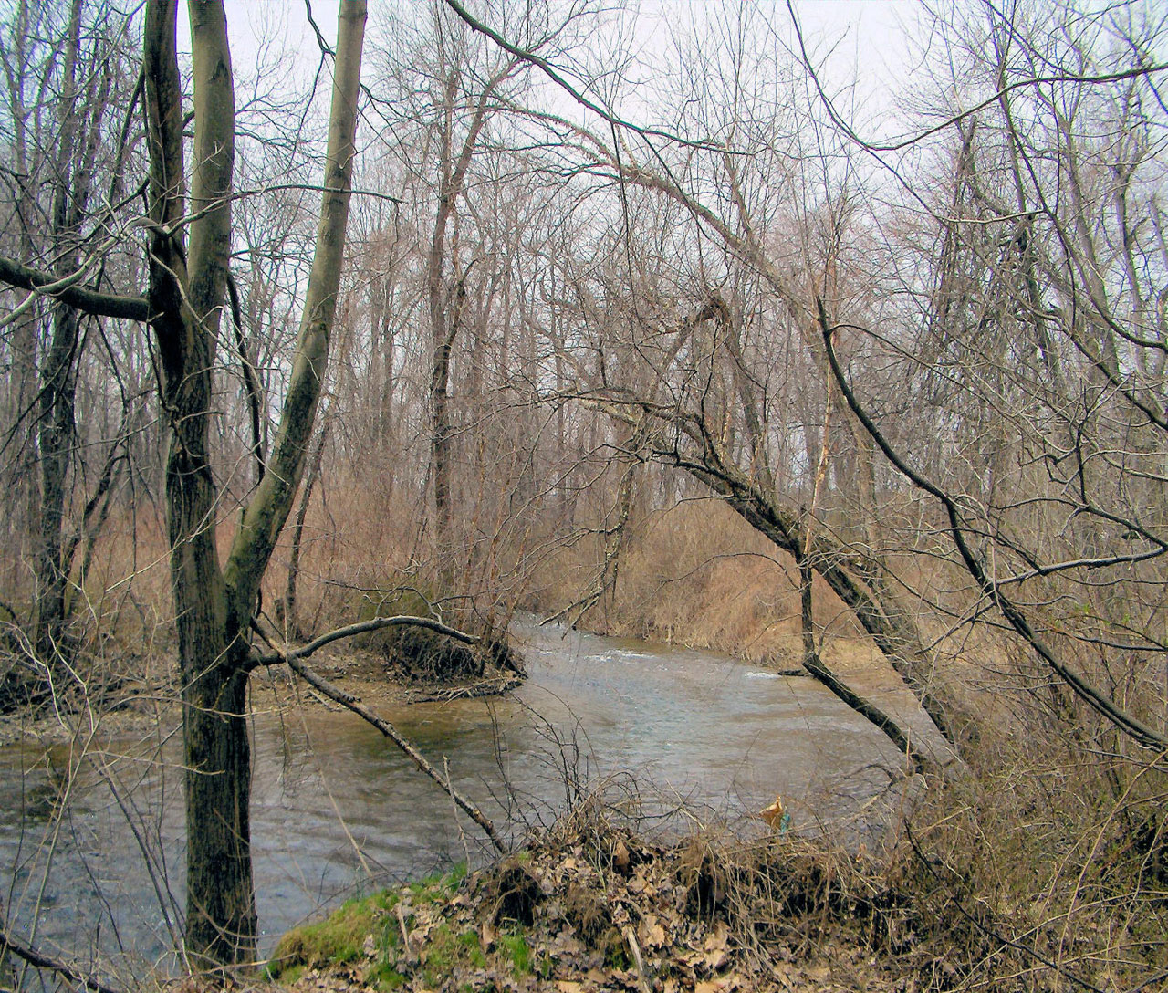 stream fishing fishing stream free photo