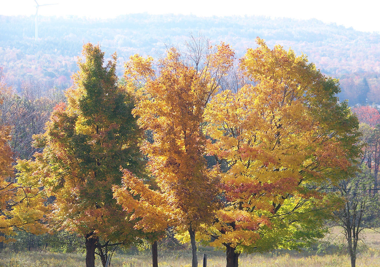 landscape nature seasons free photo