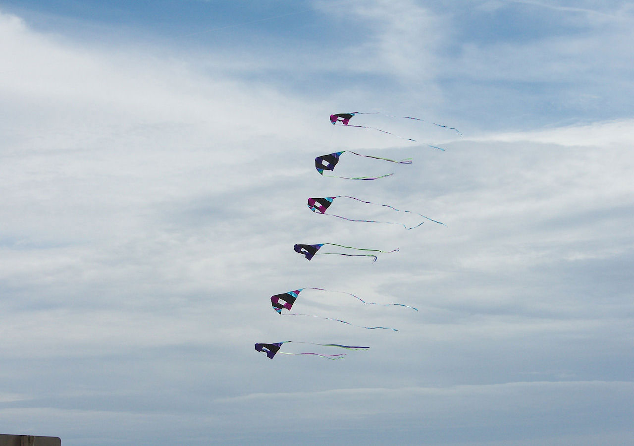 objects seasons kites free photo