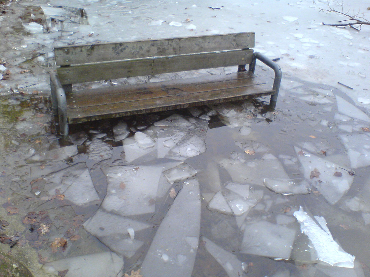 bench winter frozen free photo