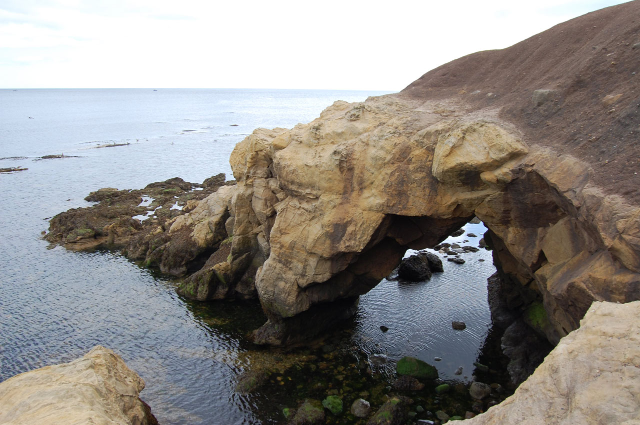 ocean beach rock free photo