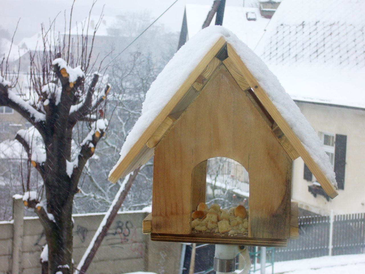 wood birds hut free photo