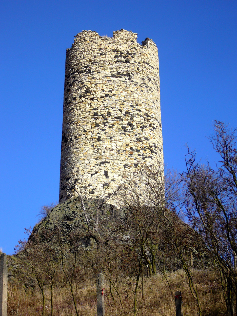 castle tower nature free photo