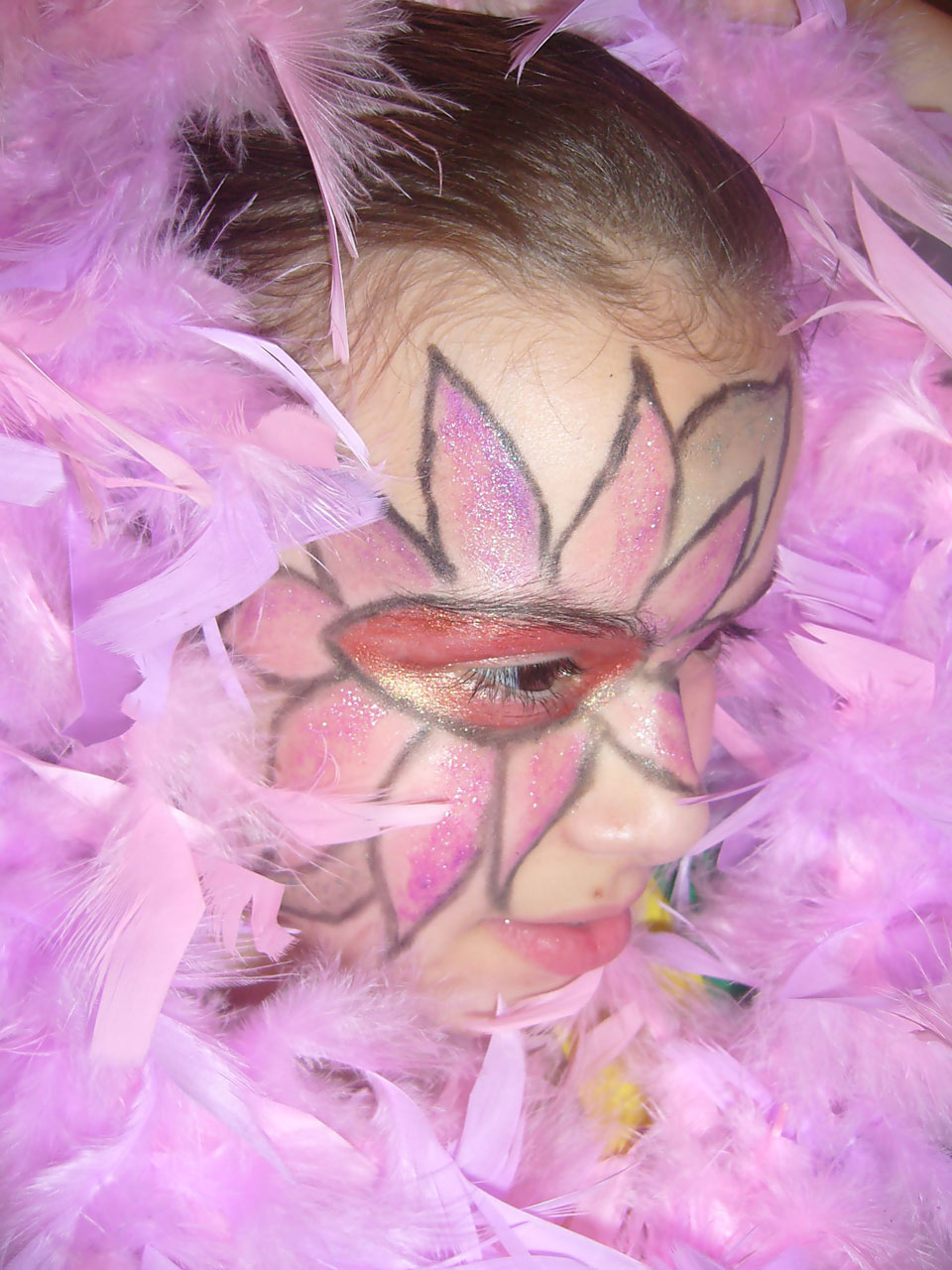 painting face feathers free photo