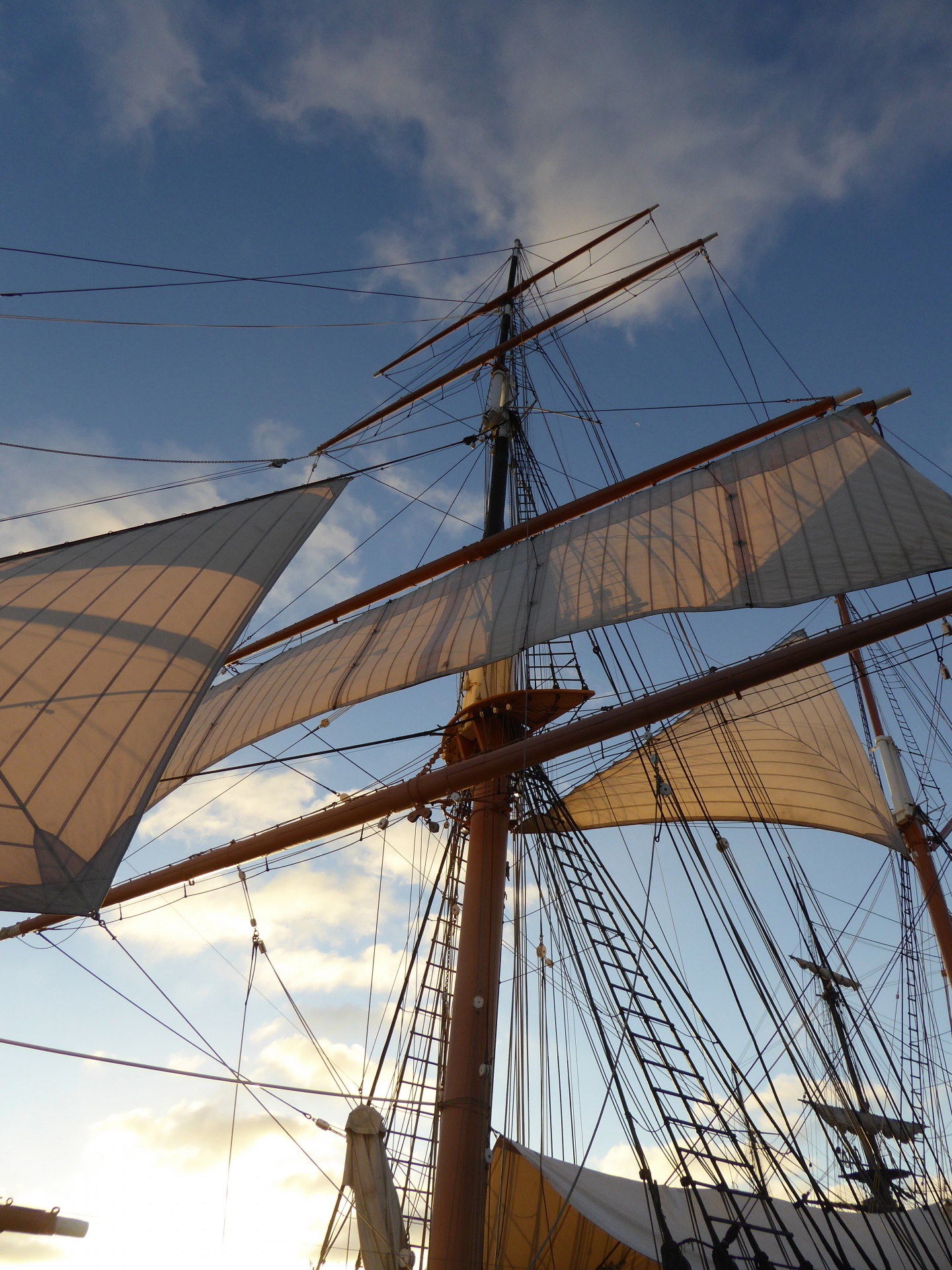 sailing ship ship mast free photo
