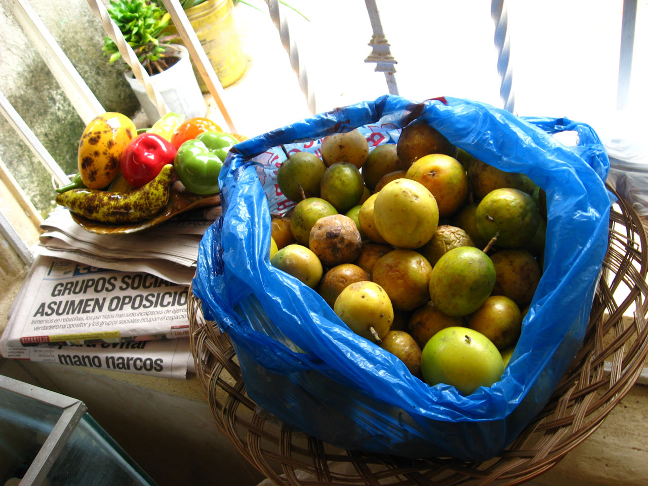 passion fruit basket free photo
