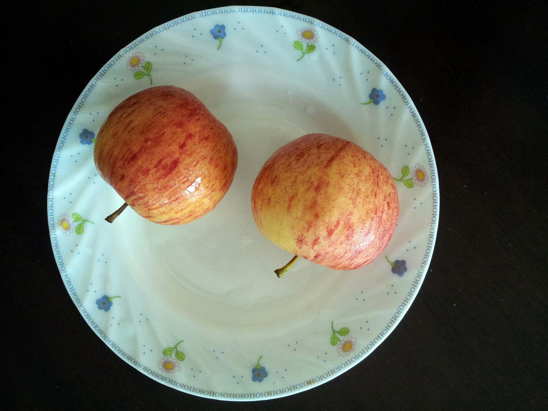 2 apples plate free photo
