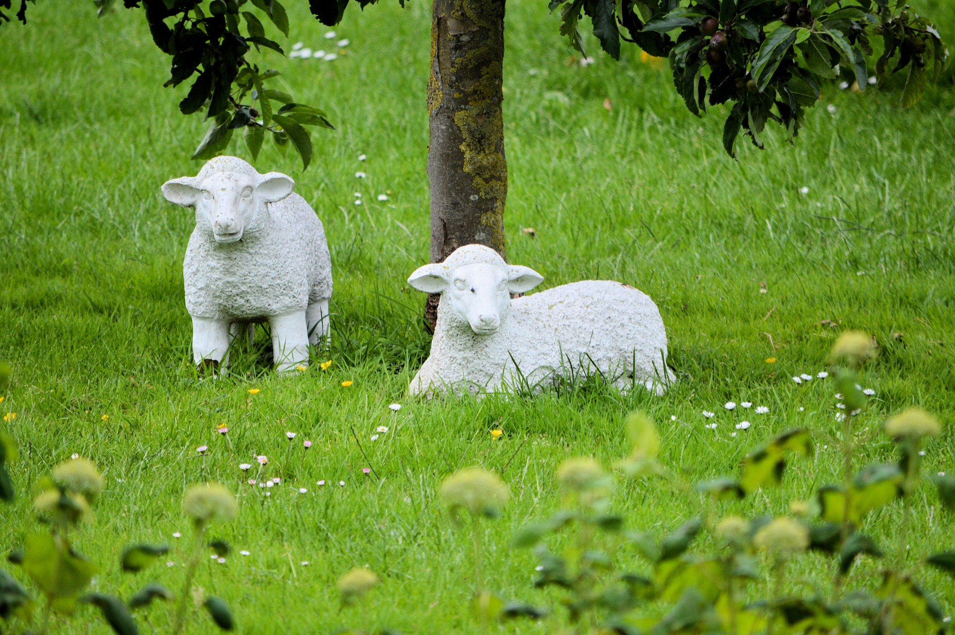 sheep statues garden decoration free photo