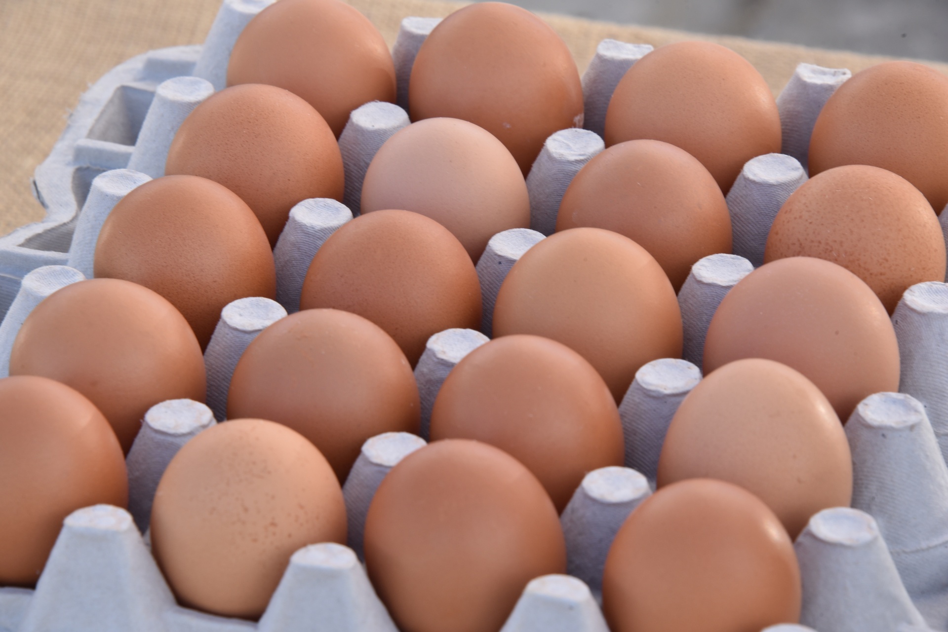 eggs brown healthy free photo