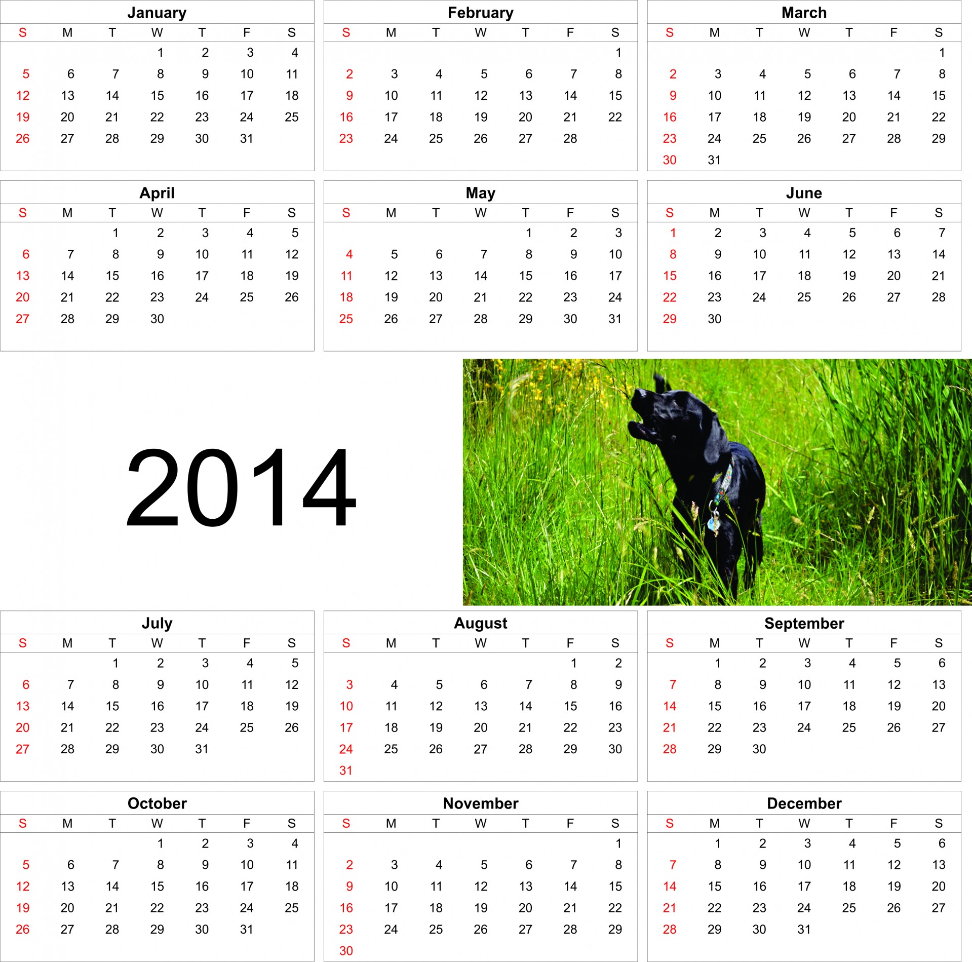 2014 dog calendar free photo