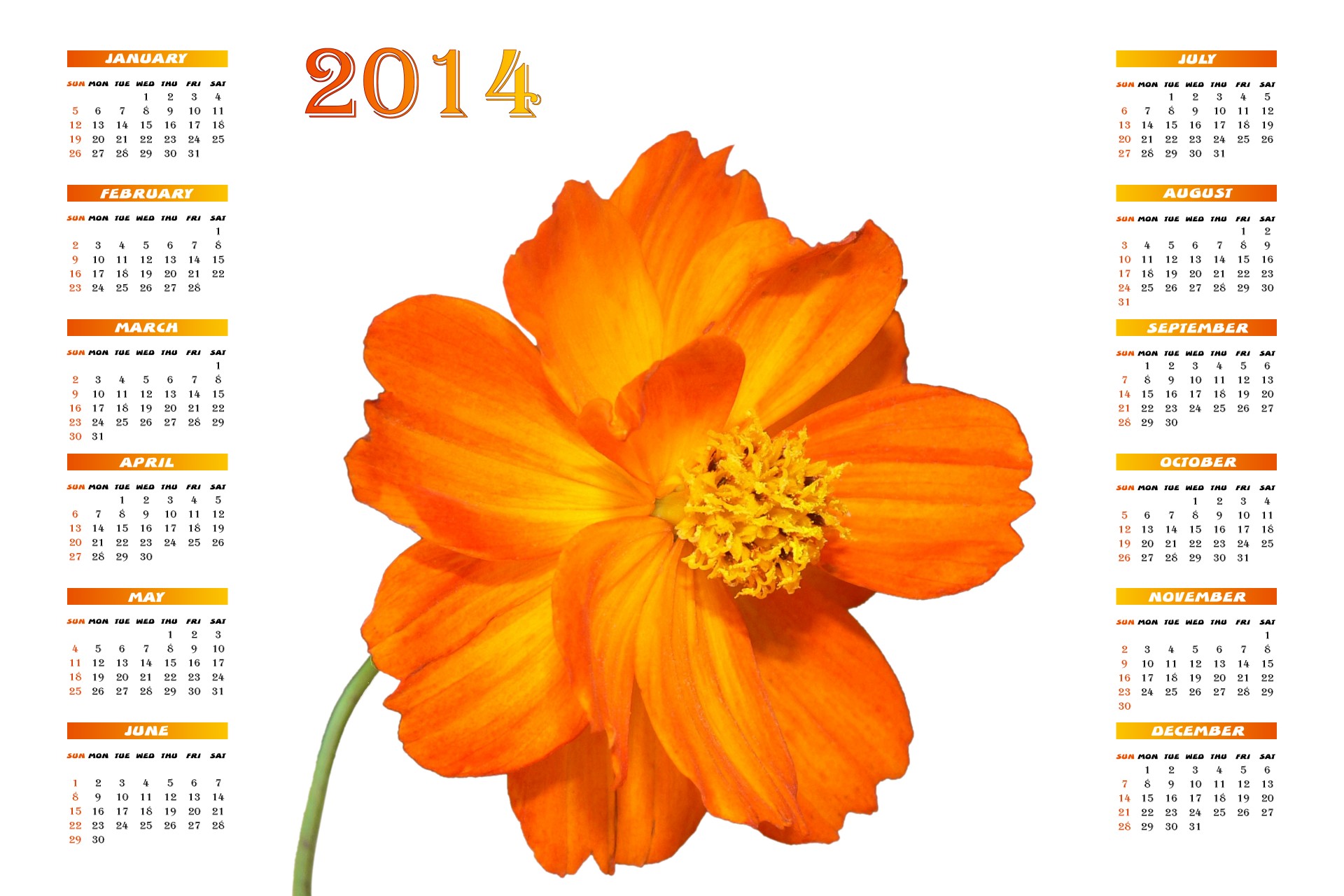 2014 calendar 2014 calendar free photo