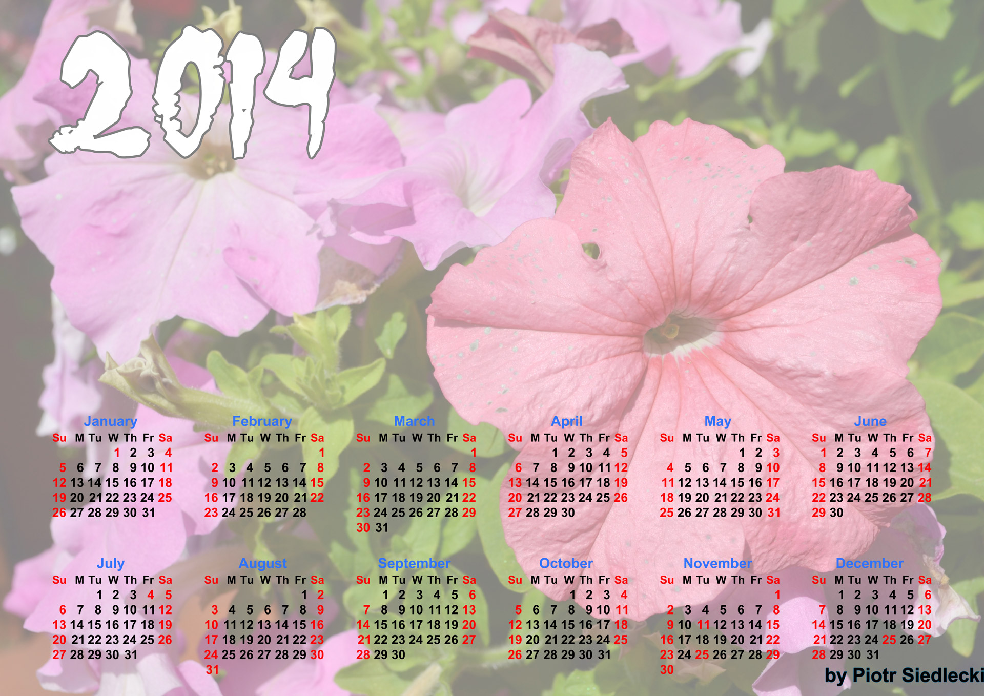 flowers calendar 2014 free photo