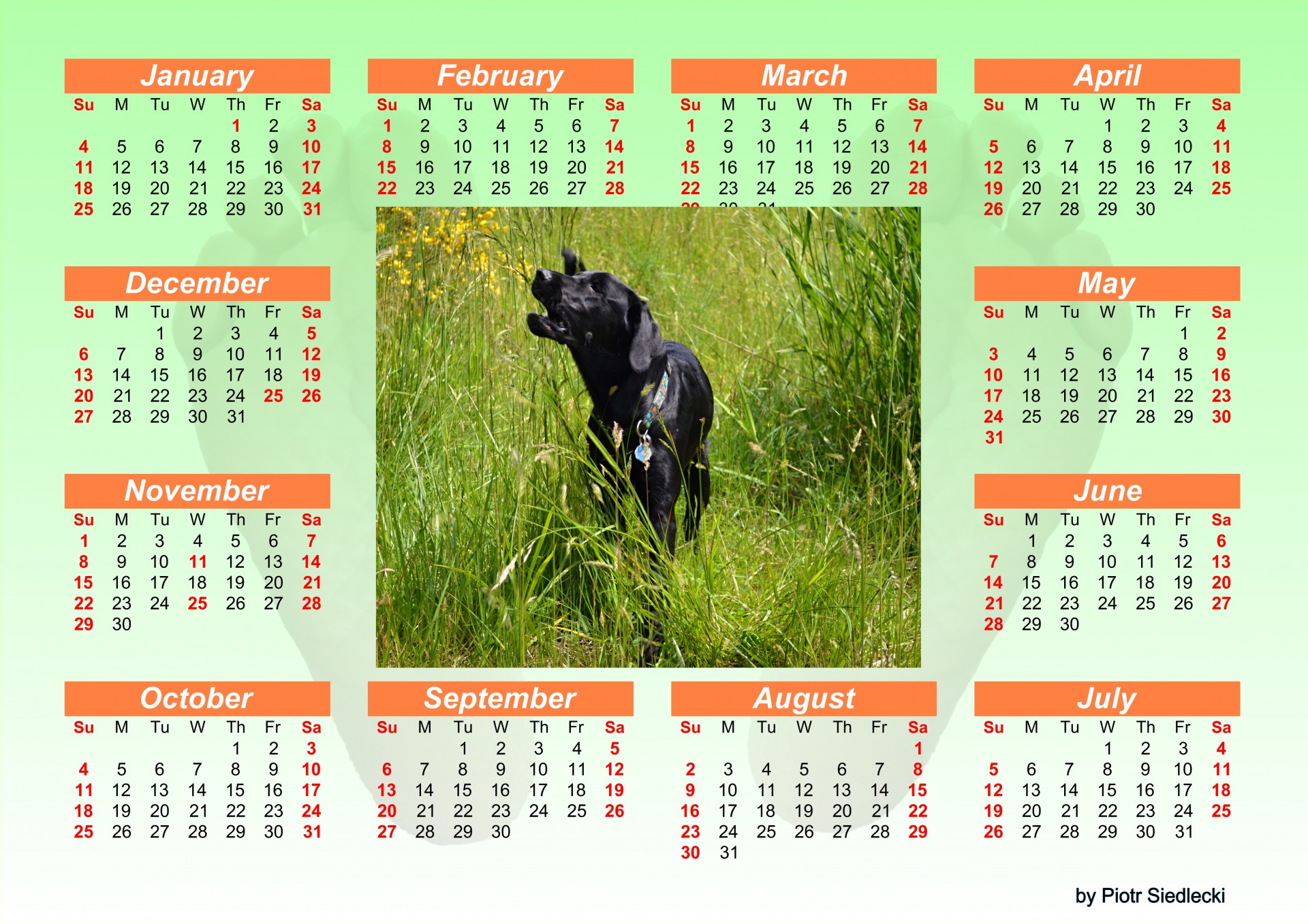 calendar 2015 planner free photo