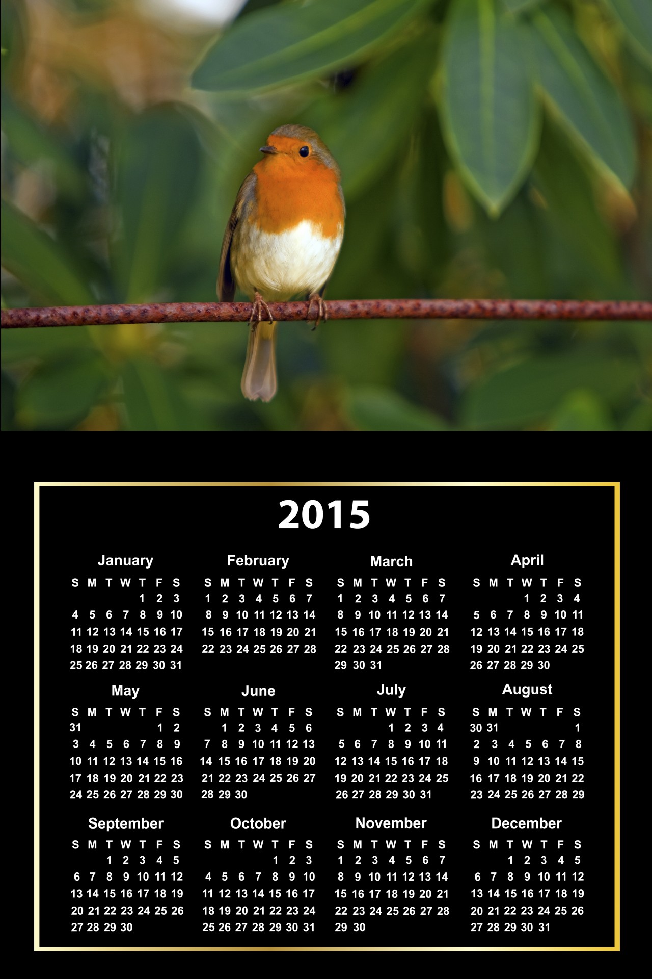 2015 calendar 2105 calendar free photo