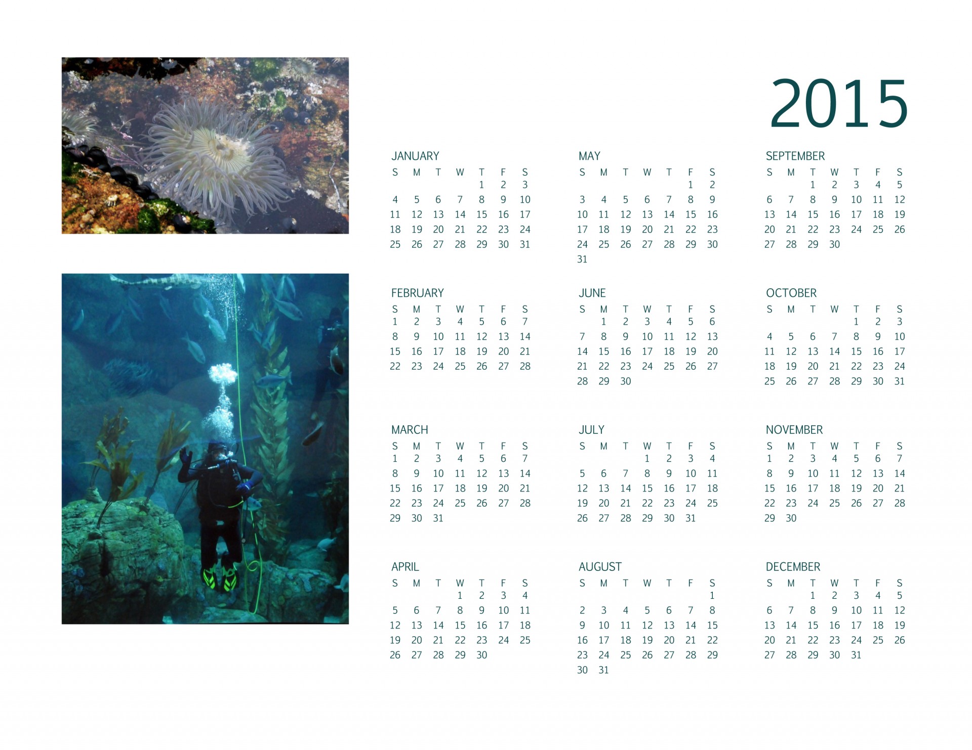 2014 calendar yearly free photo