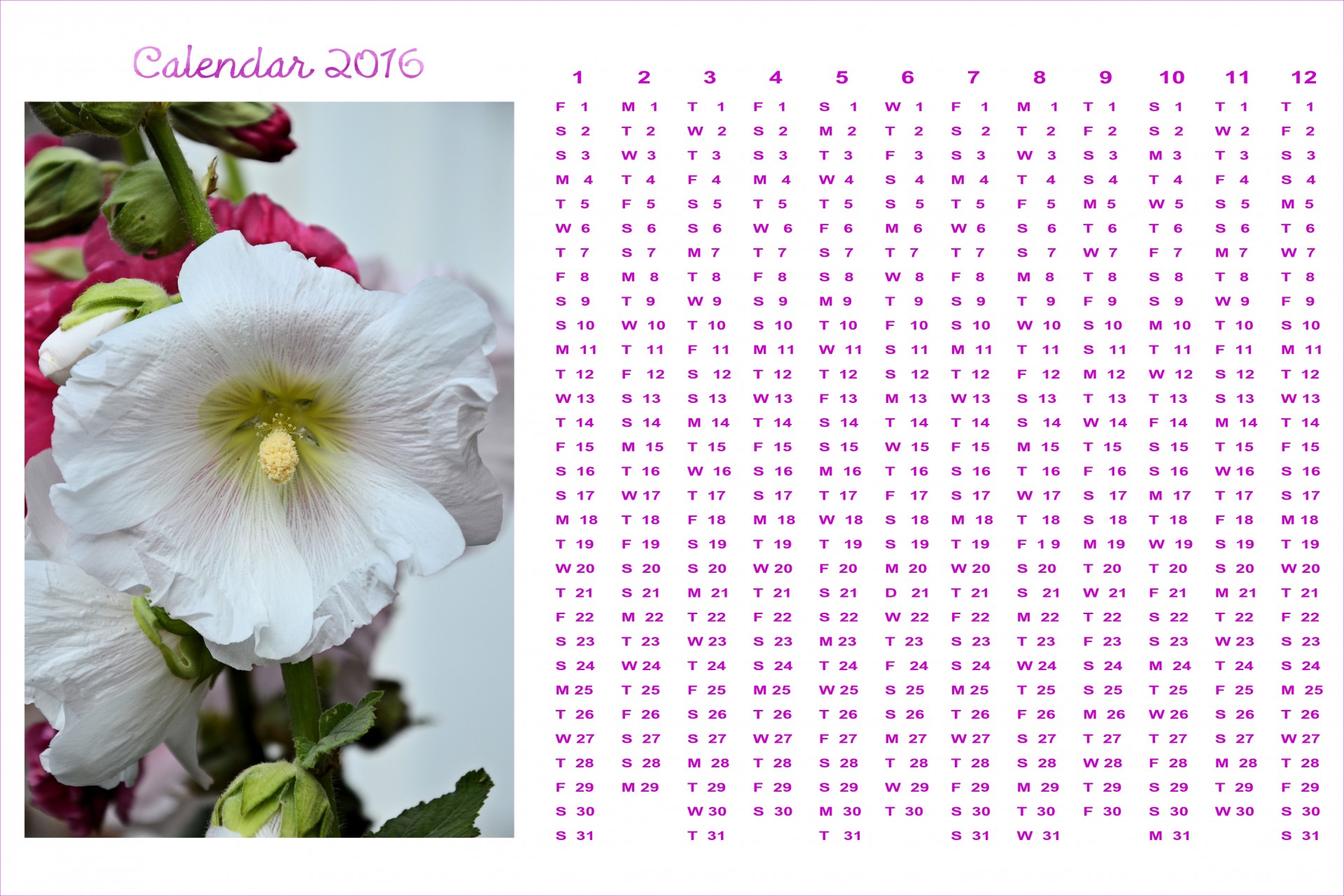 2016 calendar month year free photo
