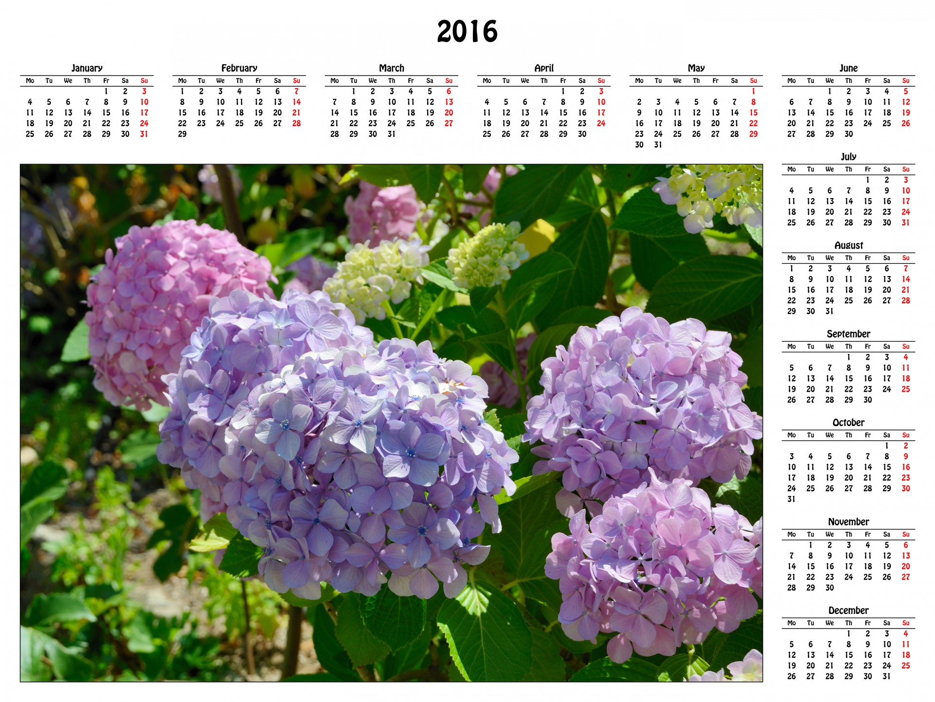 2016 calendar 2016 calendar free photo