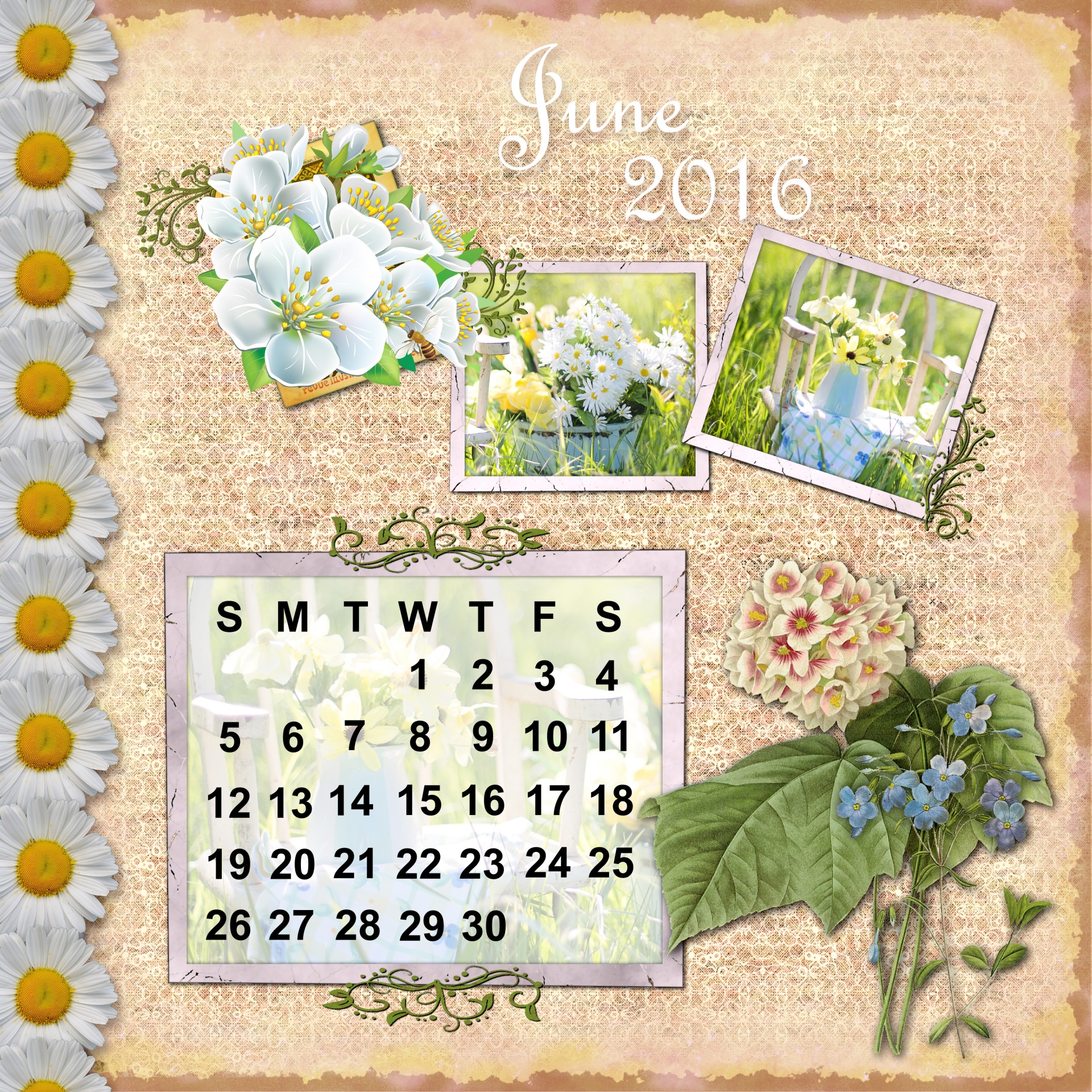 2016 calendar june free photo