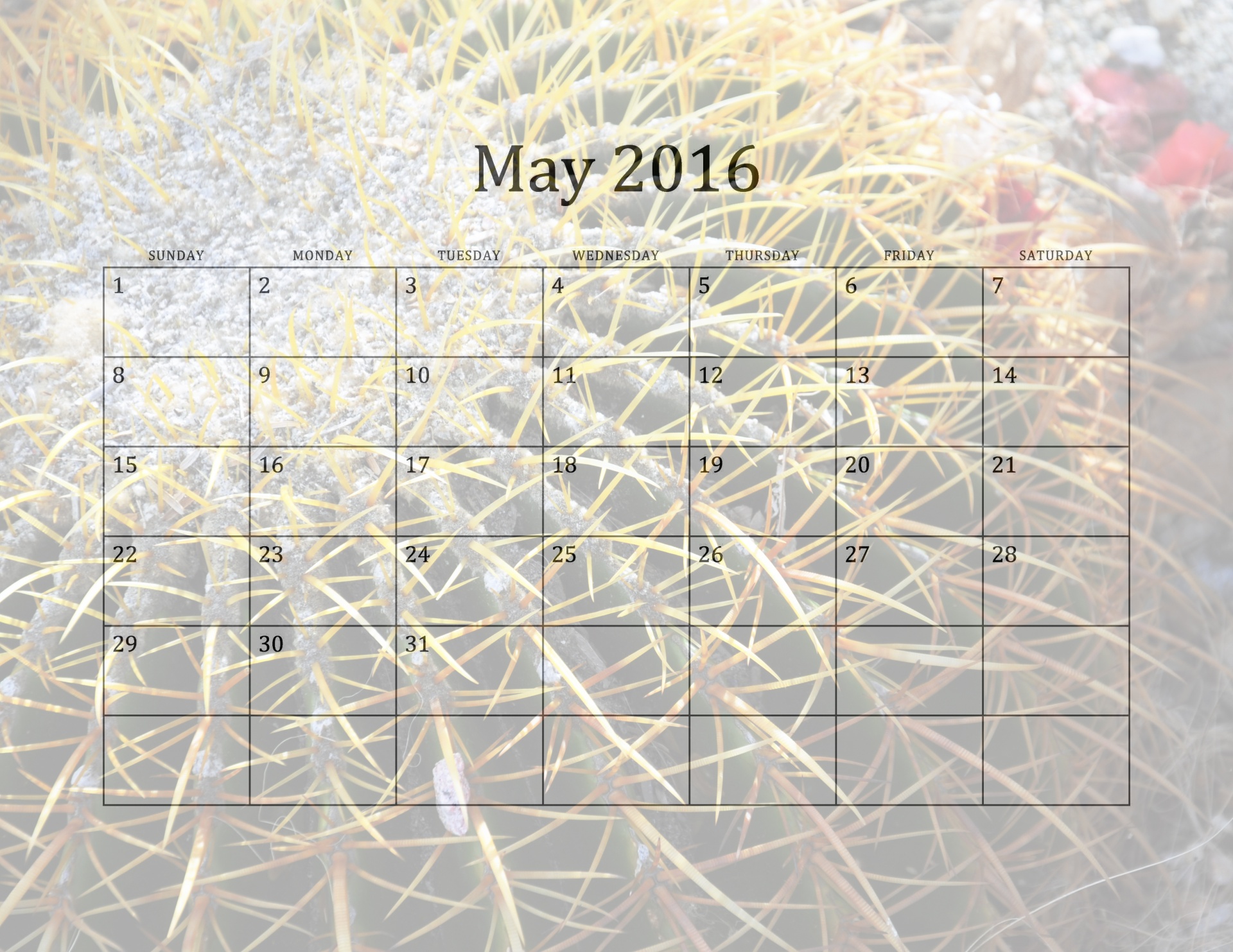 2016 may month monthly free photo