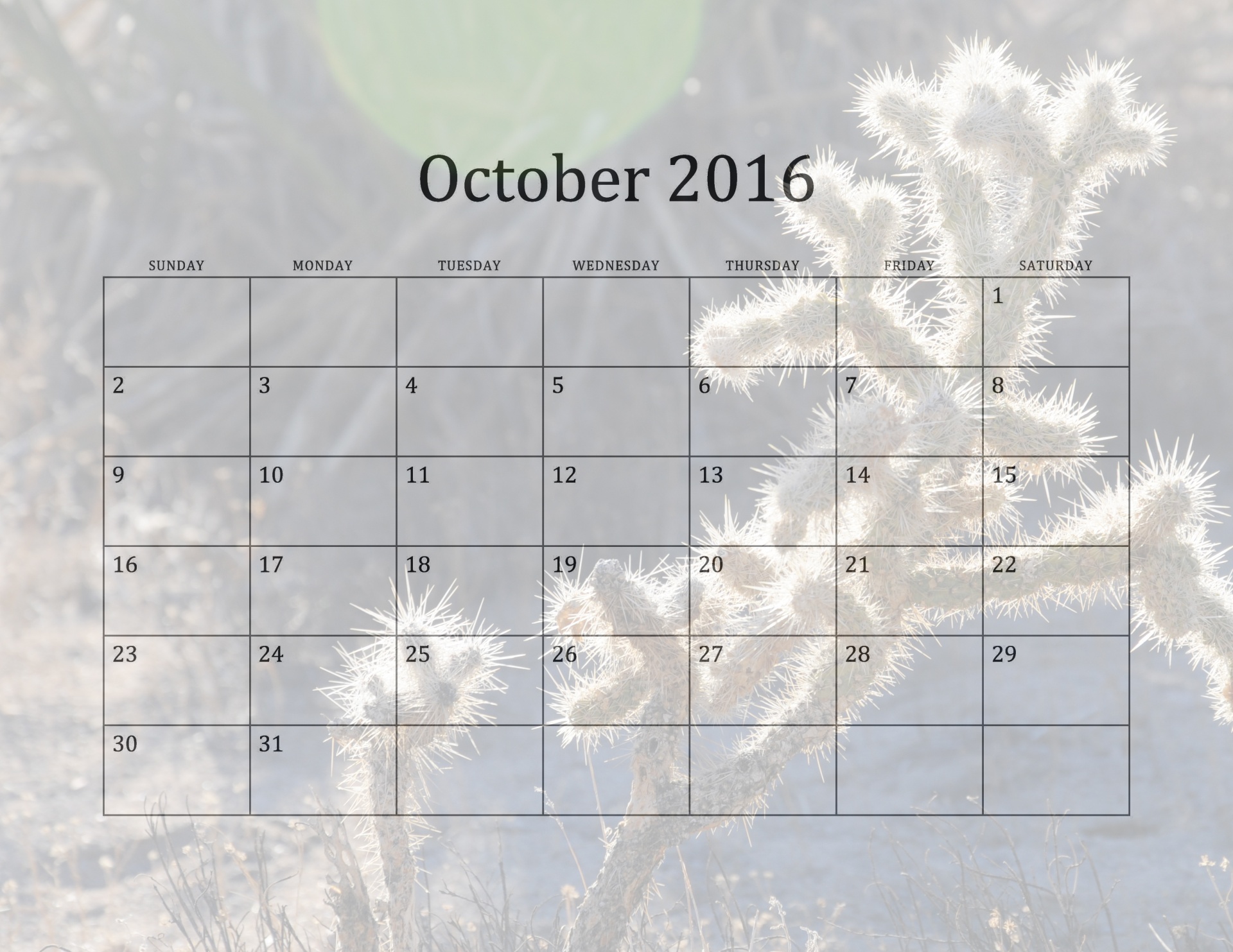 2016 october month free photo