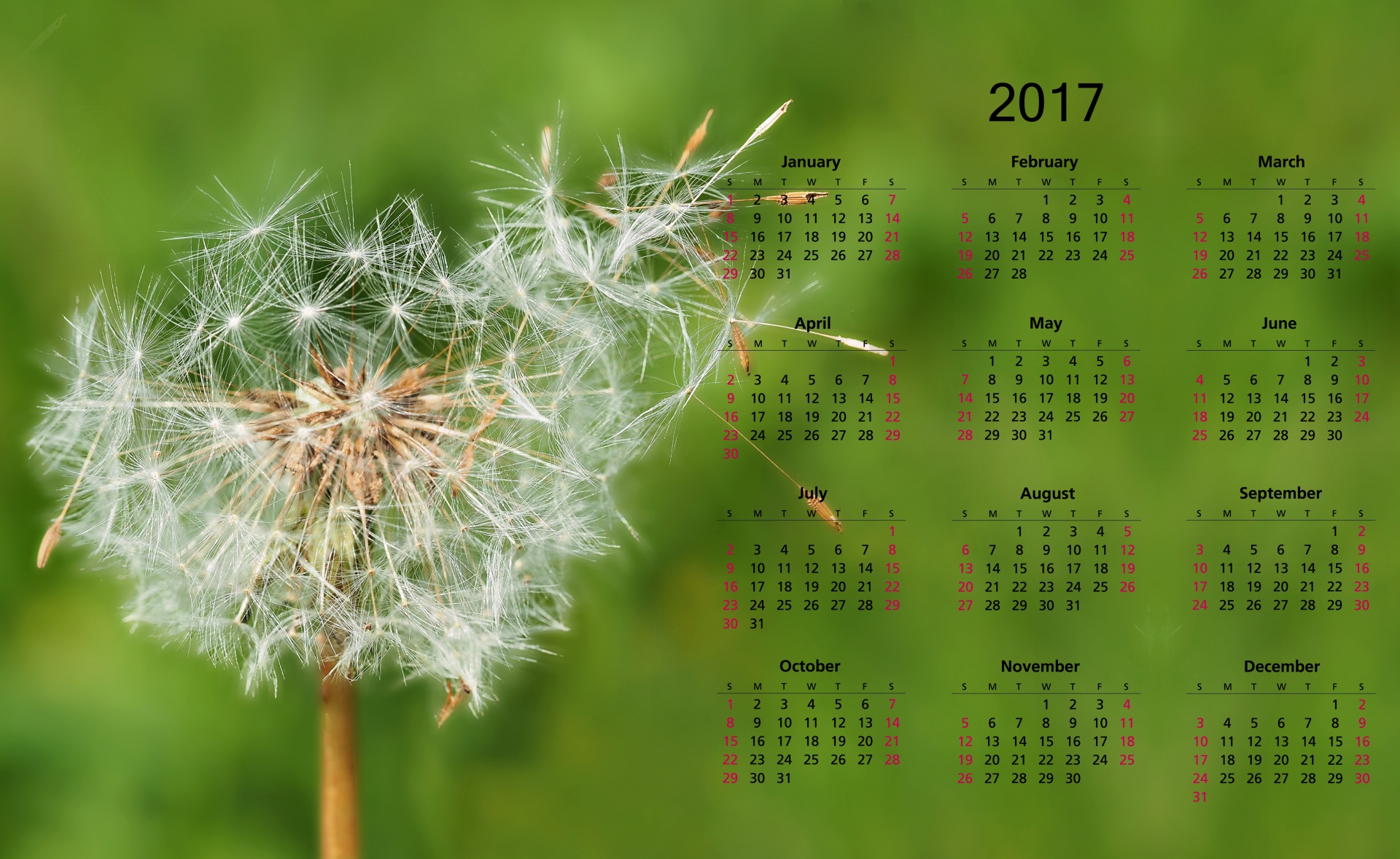 Business Calendar 2017