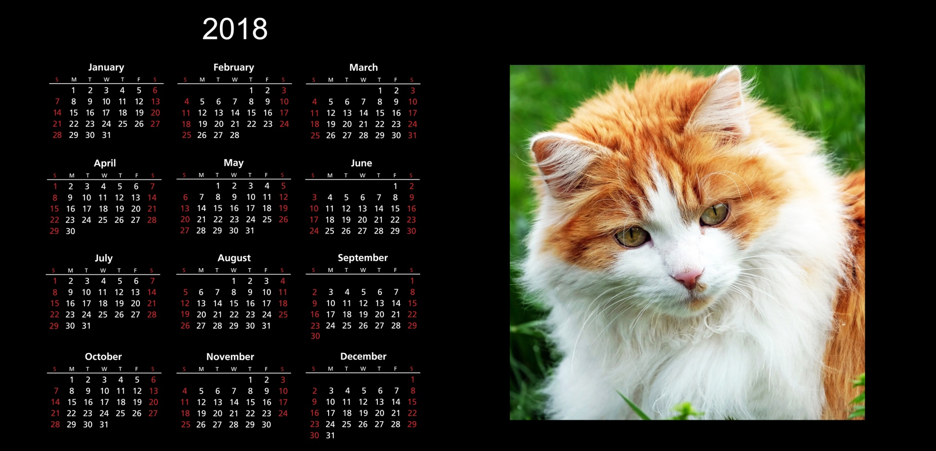 2018 calendar 2018 calendar free photo
