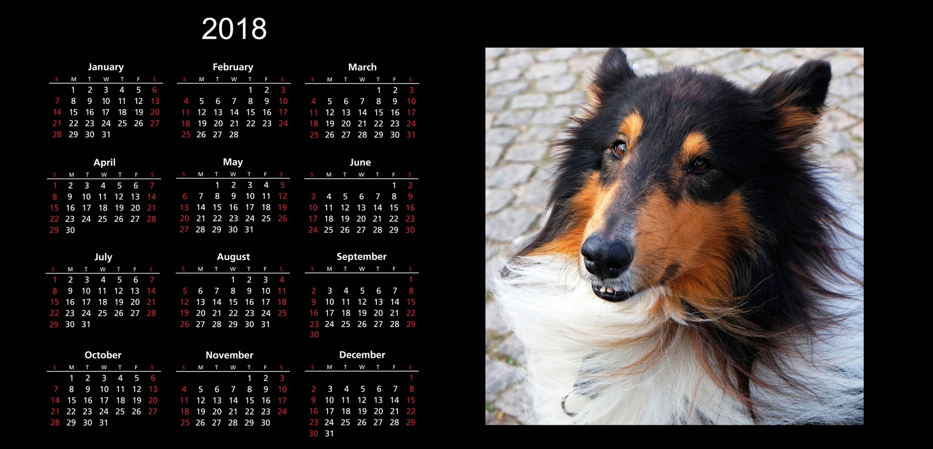 2018 calendar 2018 calendar free photo