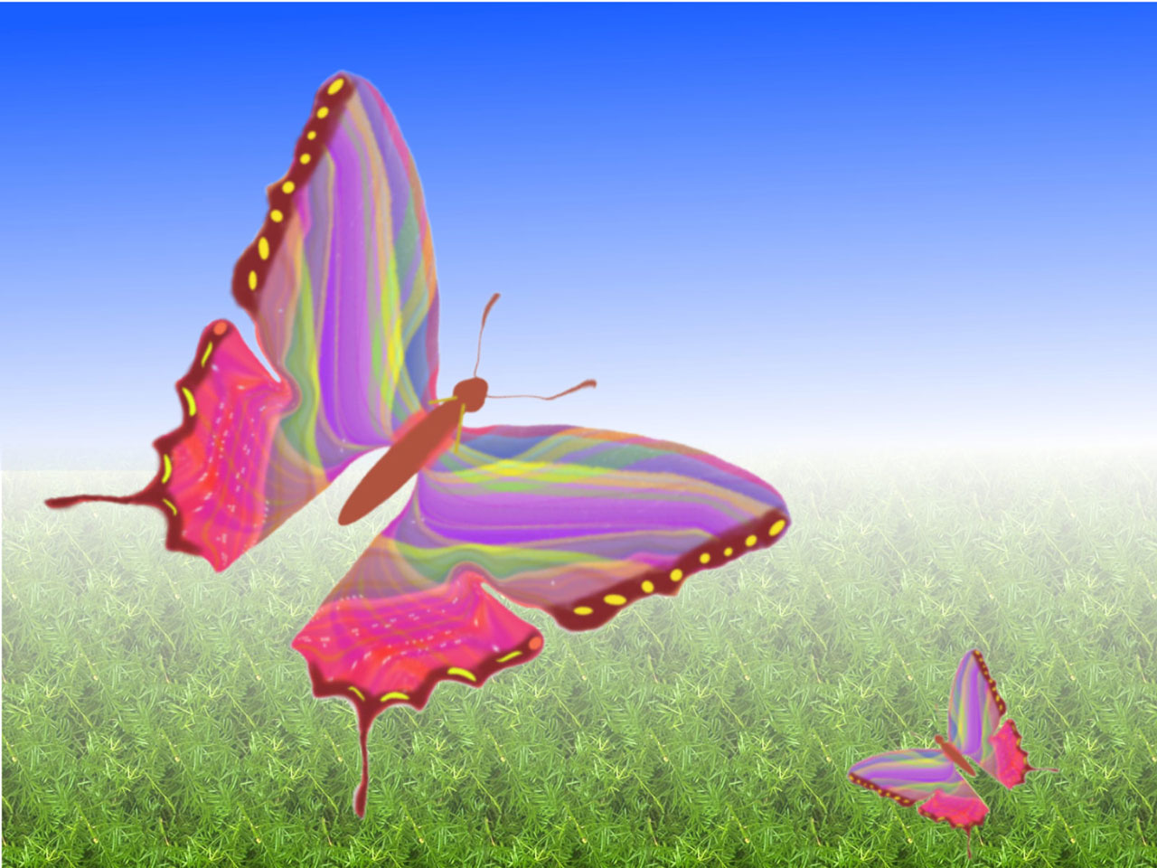 transformation butterfly change free photo