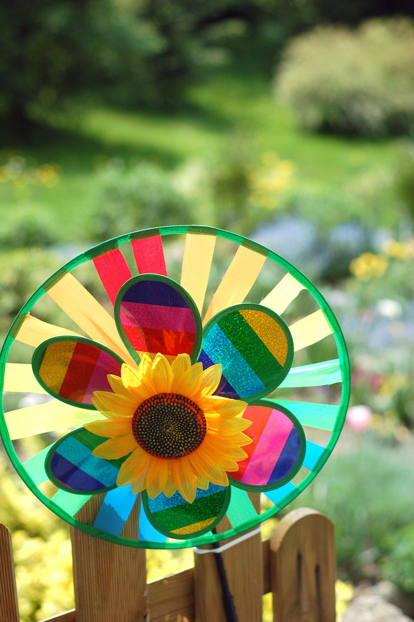 multi-colored rainbow pinwheel free photo