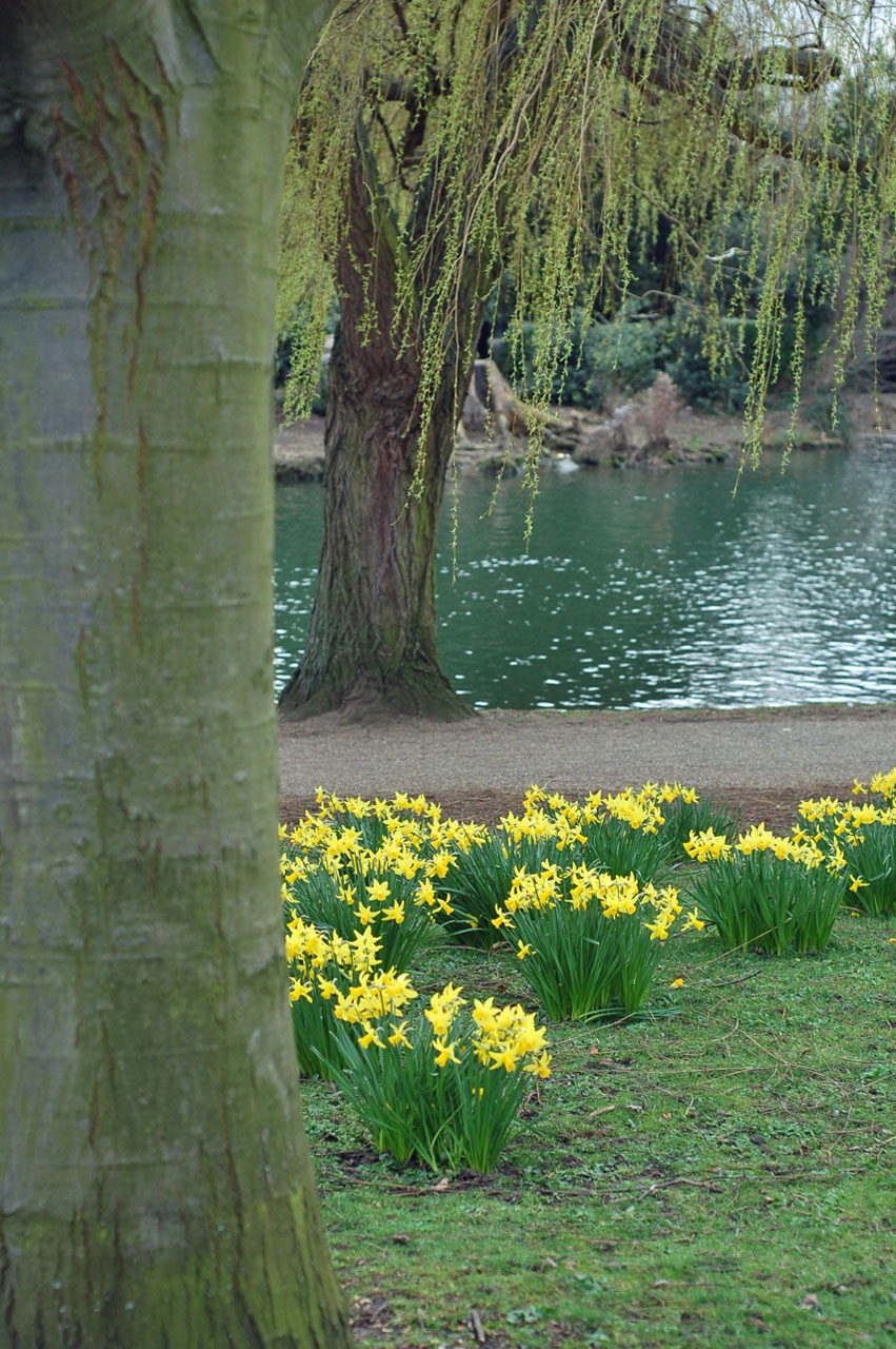 spring river riverbank free photo