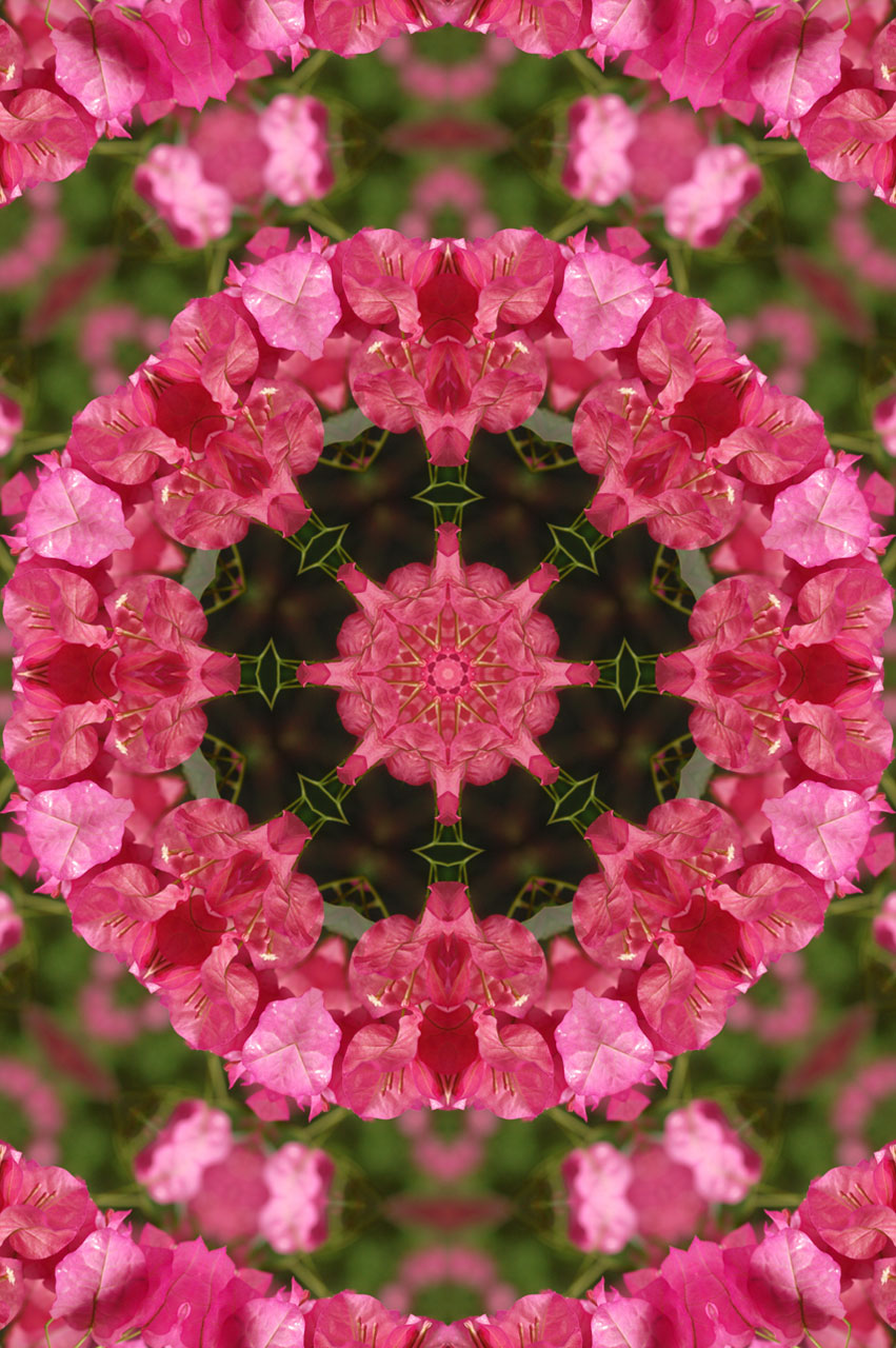 mandala flower floral free photo