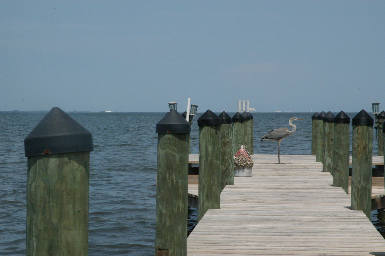 crane dock florida free photo