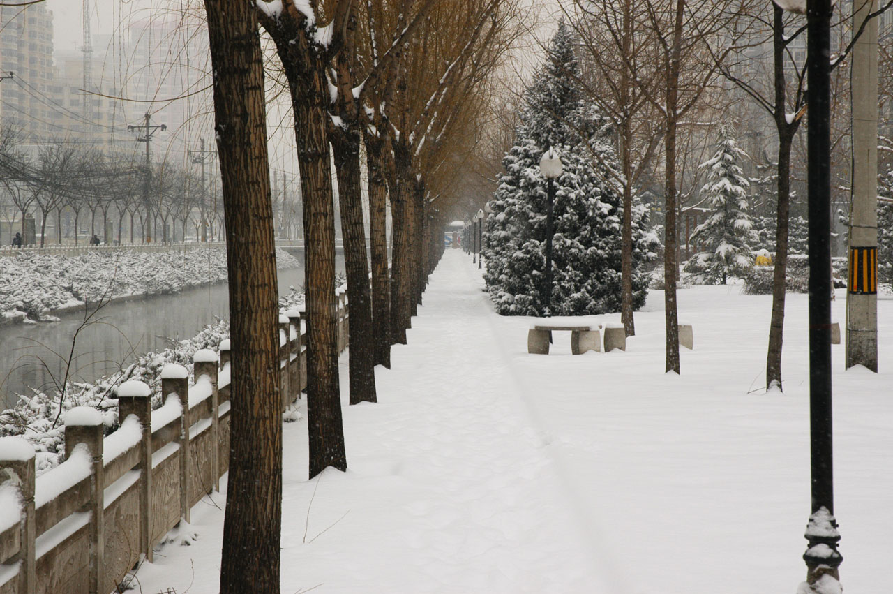 snow snowfall beijing free photo