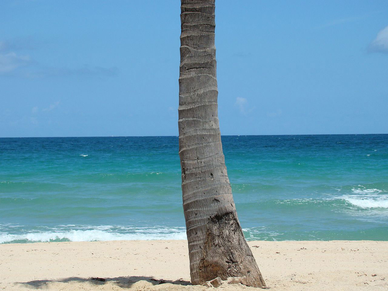 beach ocean waves free photo