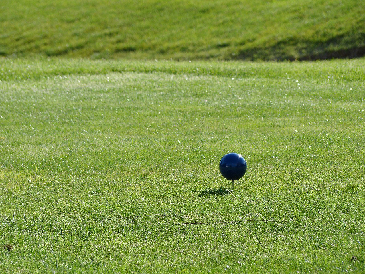 sport golf course free photo