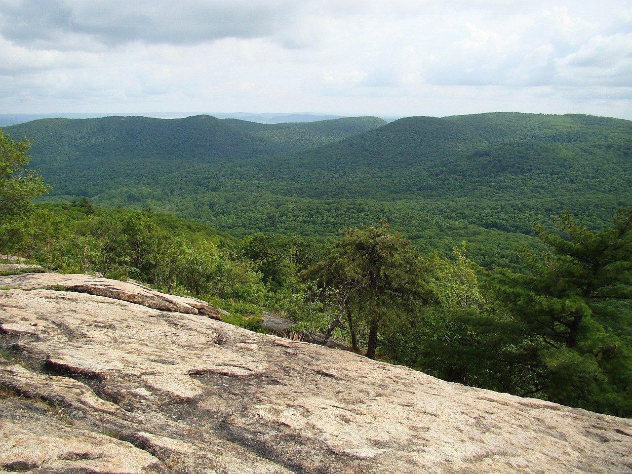 hill rock tree free photo