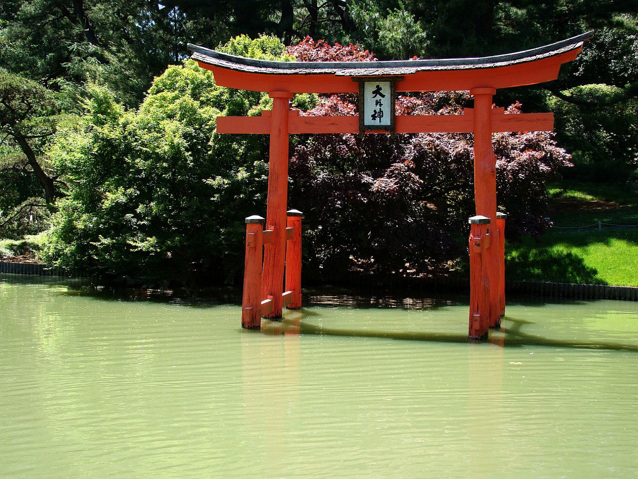 garden pond water free photo