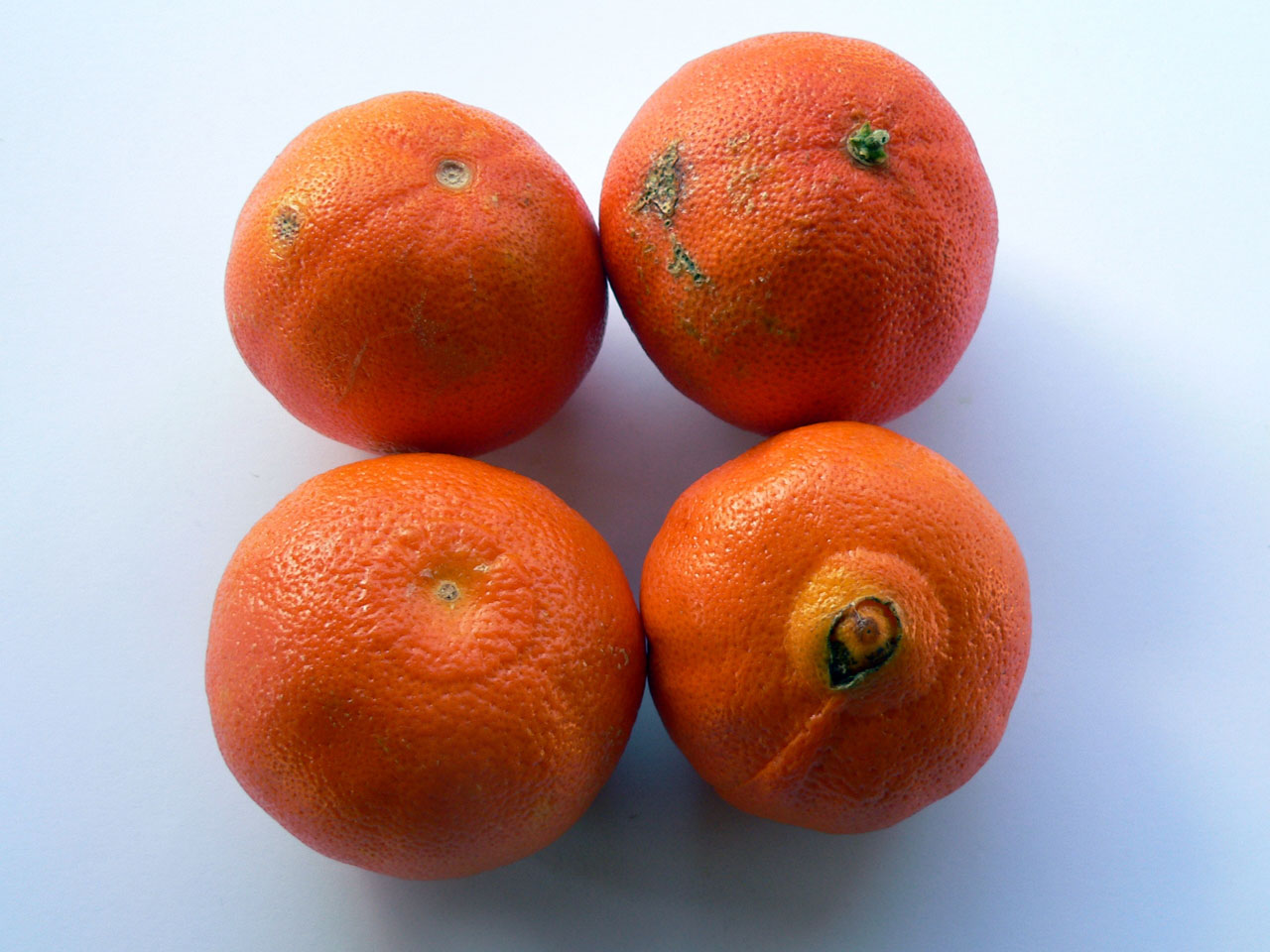 food clementine clementine fruit free photo
