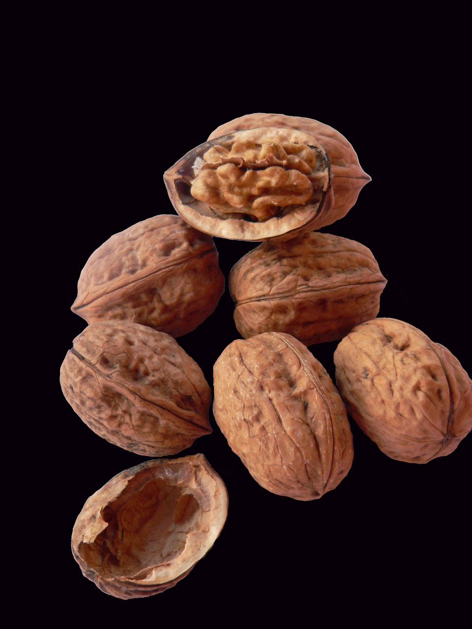 plants nuts walnuts free photo
