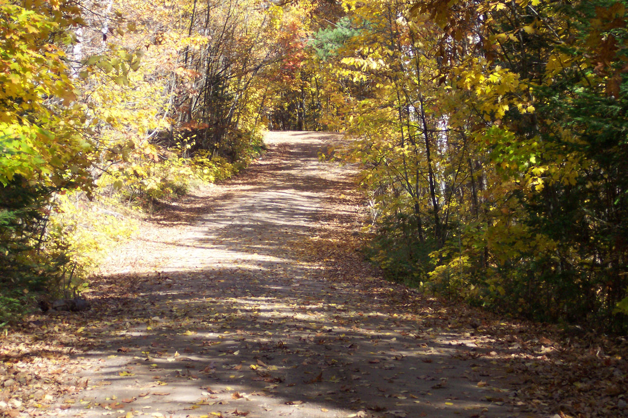 fall leaves road free photo