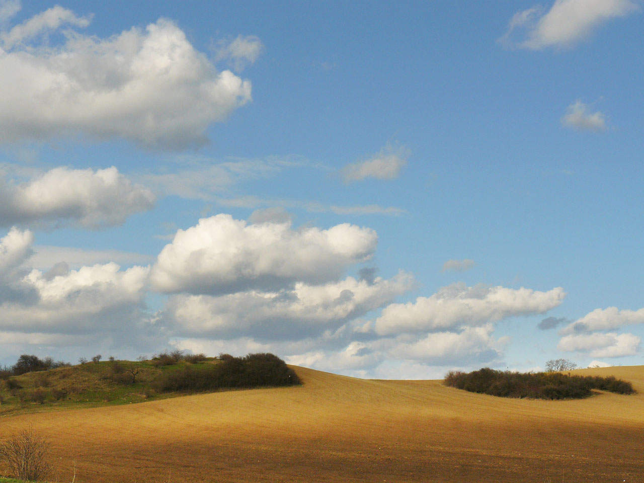 clouds sky fields free photo