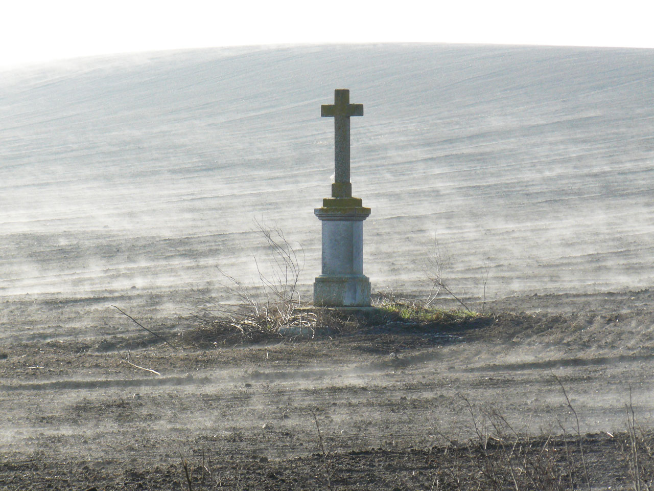 field calvary cross free photo