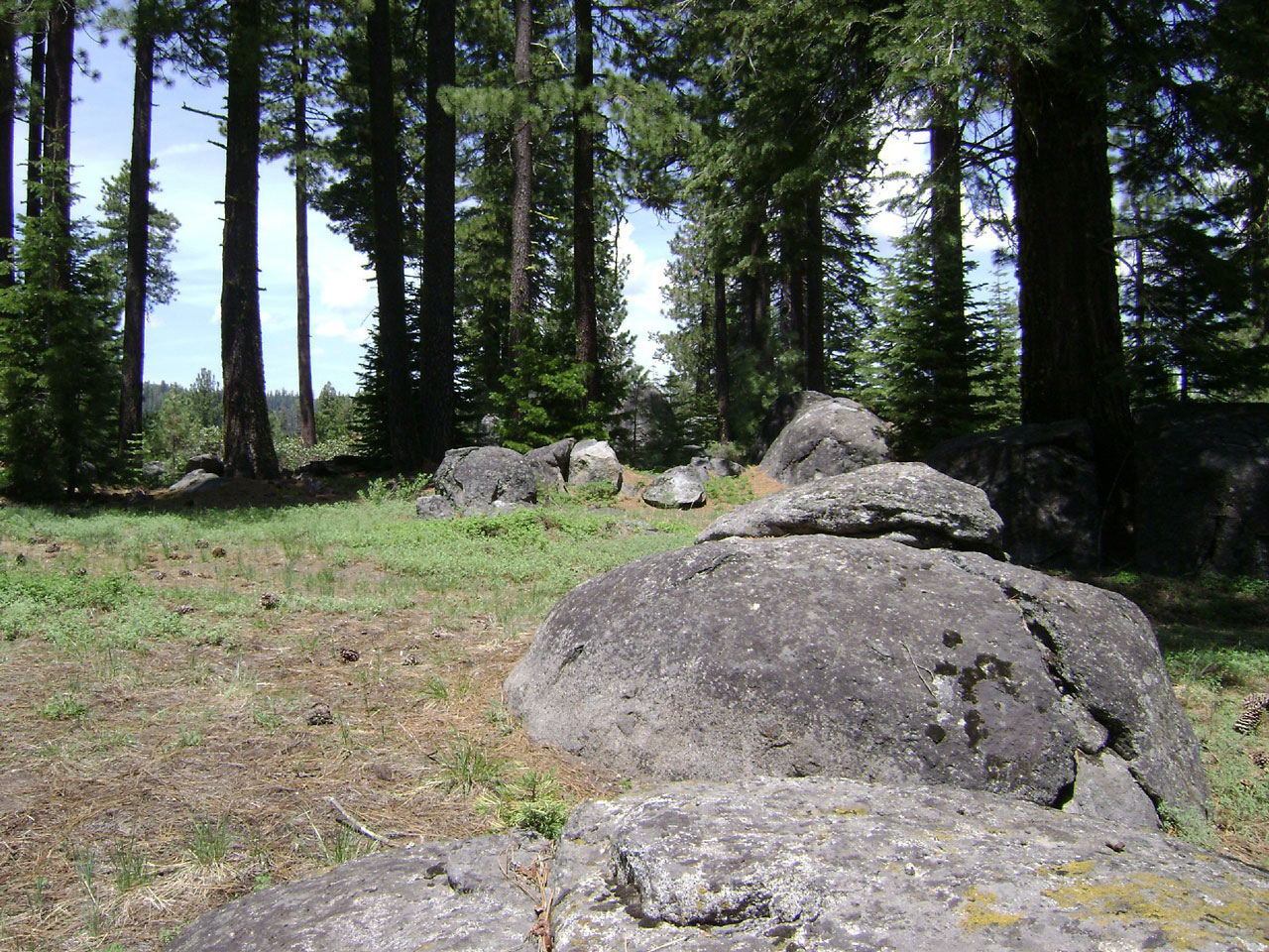 rocks trees loon lake 724 free photo