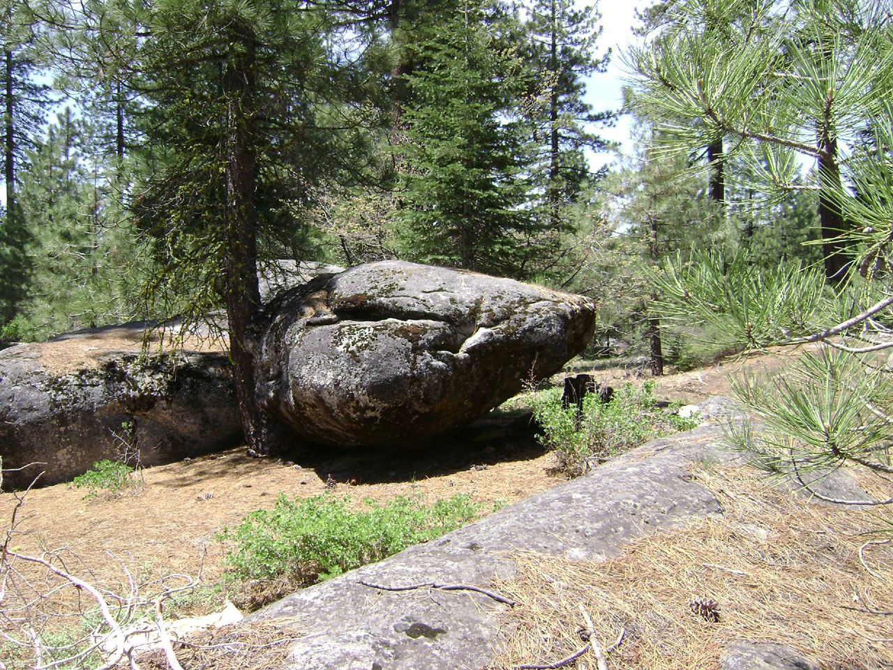 rocks trees loon lake 725 free photo