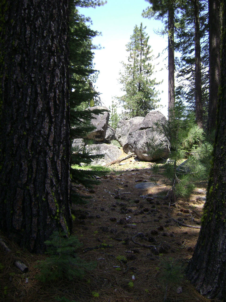 rocks trees loon lake 728 free photo